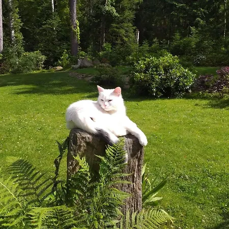 Malinka Accommodatie bij particulieren