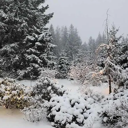 홈스테이 Malinka *