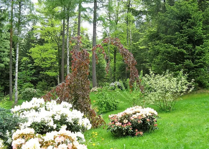 Malinka 카르파츠