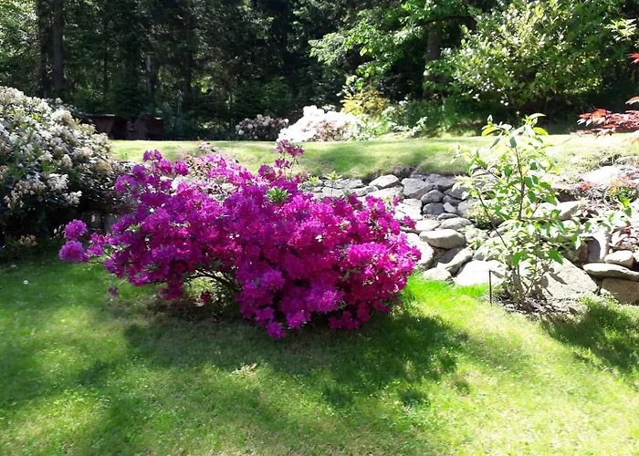 홈스테이 Malinka 카르파츠