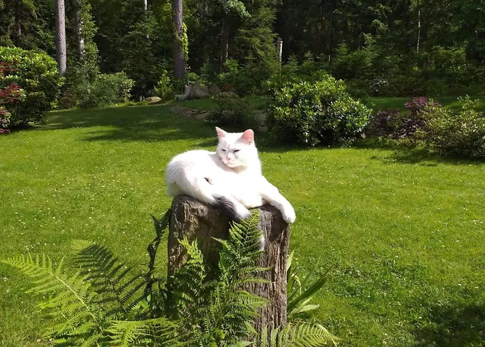 Malinka Accommodatie bij particulieren